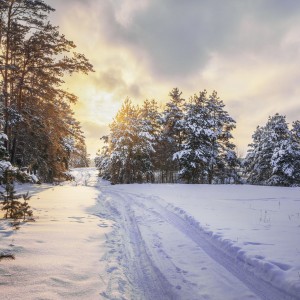 По дорожке да по снежной